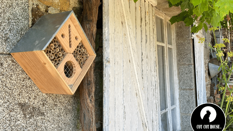 Installer un hôtel à insectes dans son jardin
