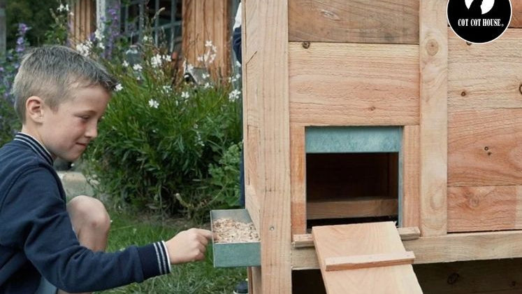 Comment nettoyer et entretenir son poulailler de façon écologique ?