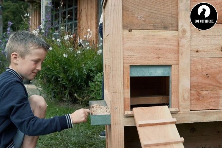 Comment nettoyer et entretenir son poulailler de façon écologique ?