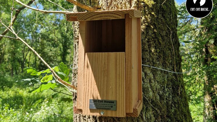 Nichoir à oiseaux : comment bien le choisir et l'installer pour booster la biodiversité