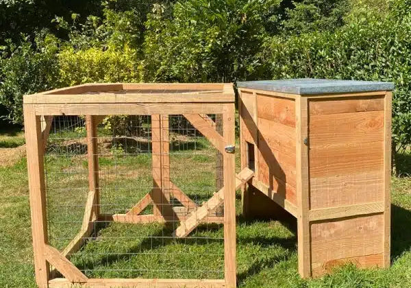 Tout le matériel indispensable pour débuter avec des poules