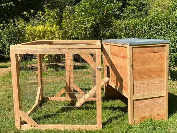 Tout le matériel indispensable pour débuter avec des poules