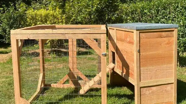 Tout le matériel indispensable pour débuter avec des poules