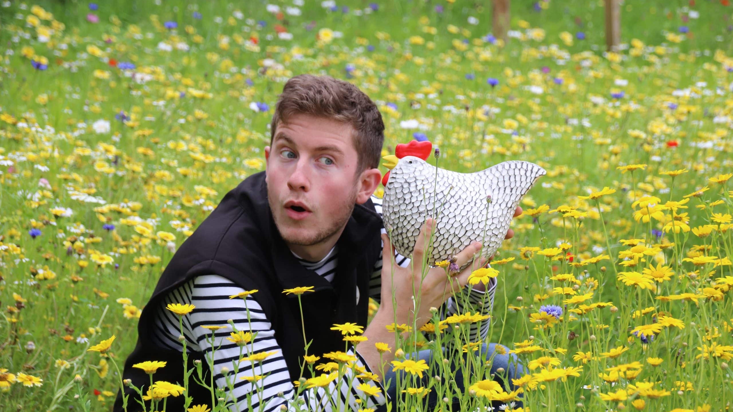 Entretenir mon poulailler : le ménage de printemps