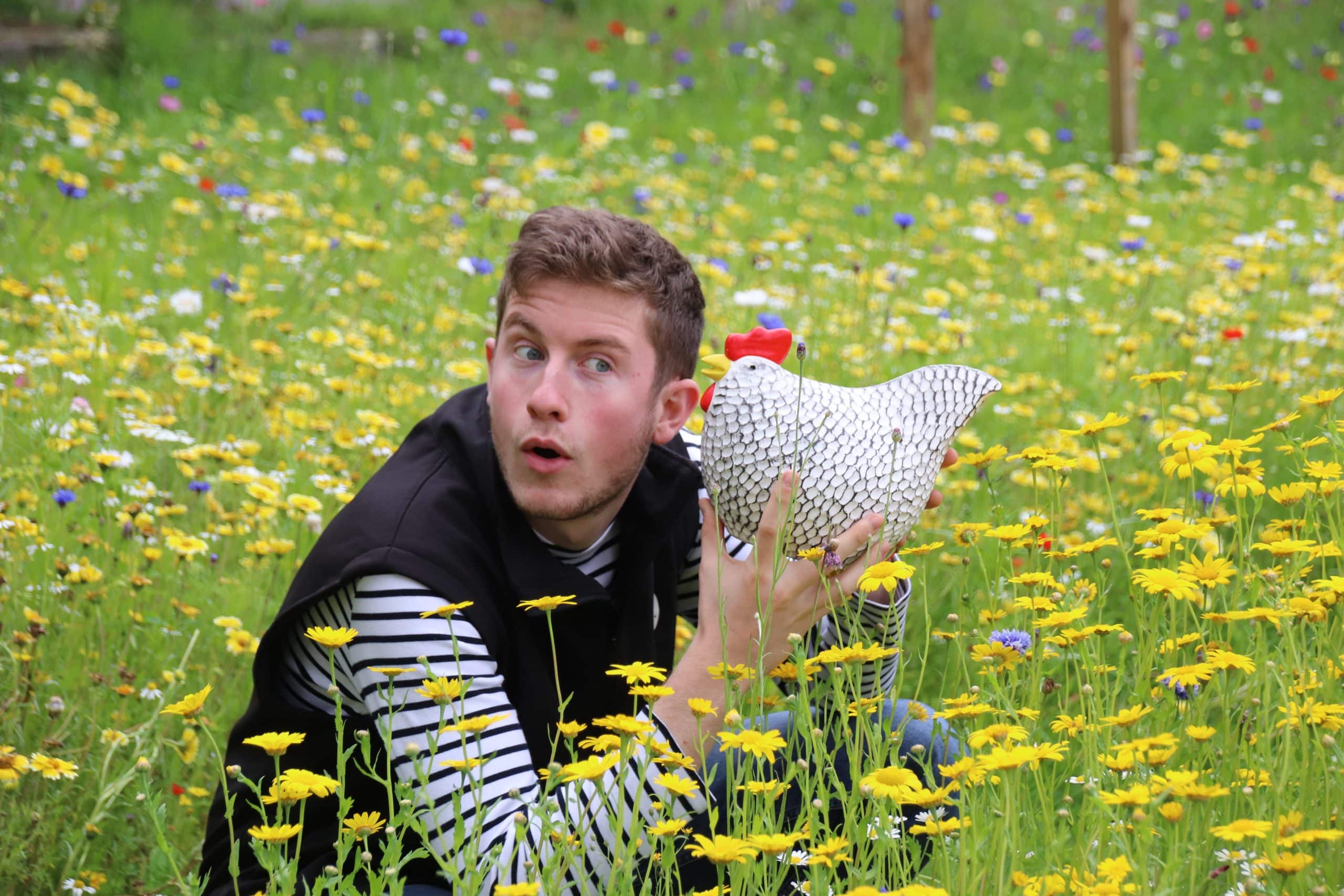 Entretenir mon poulailler : le ménage de printemps