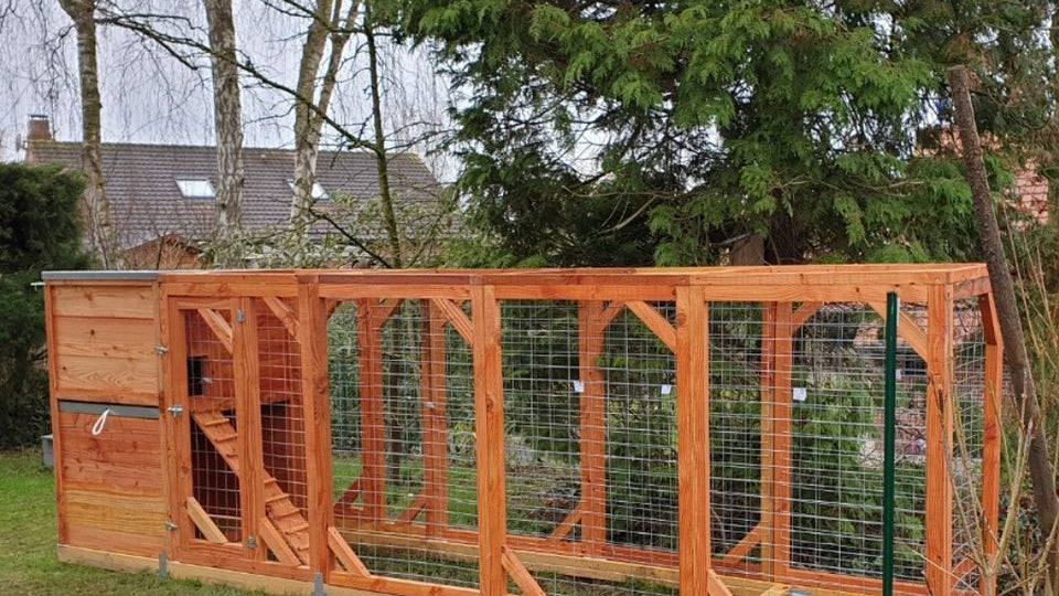 Huile de lin : protéger son poulailler naturellement