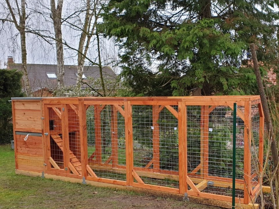 Huile de lin : protéger son poulailler naturellement