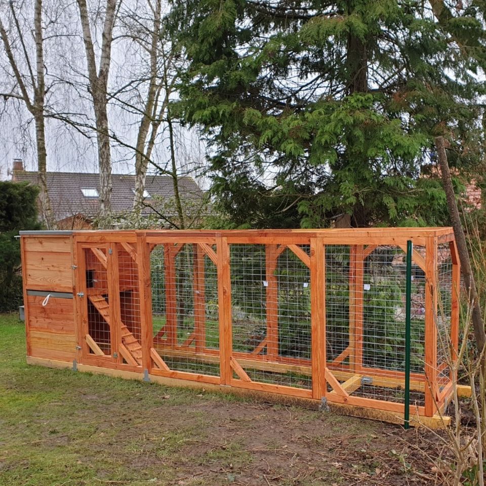 Huile de lin : protéger son poulailler naturellement