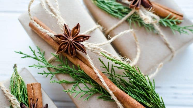 🎄 Noël et cadeaux qui ont du sens : idées pour jardiniers et amoureux de la nature