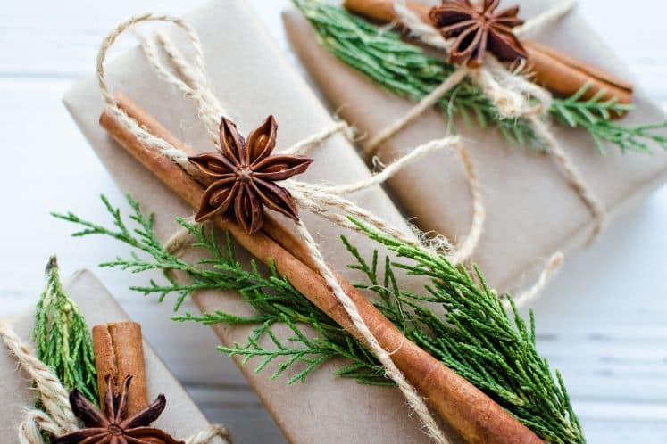 🎄 Noël et cadeaux qui ont du sens : idées pour jardiniers et amoureux de la nature