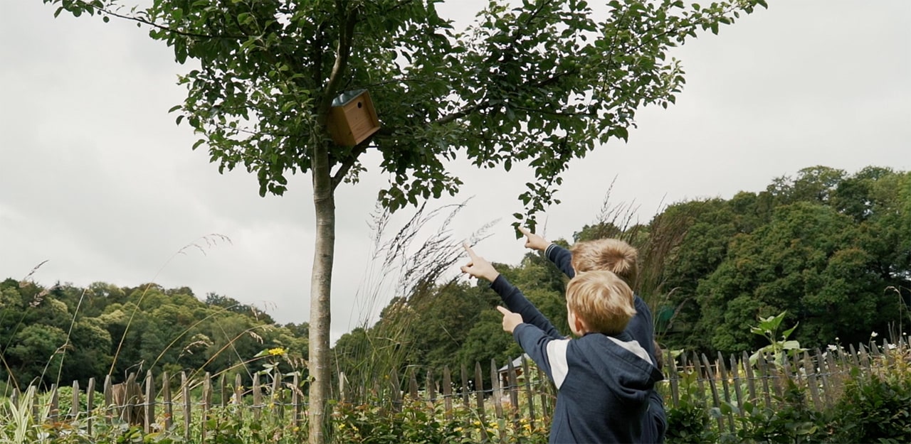 Installer un nichoir dans son jardin : un geste simple pour la biodiversité