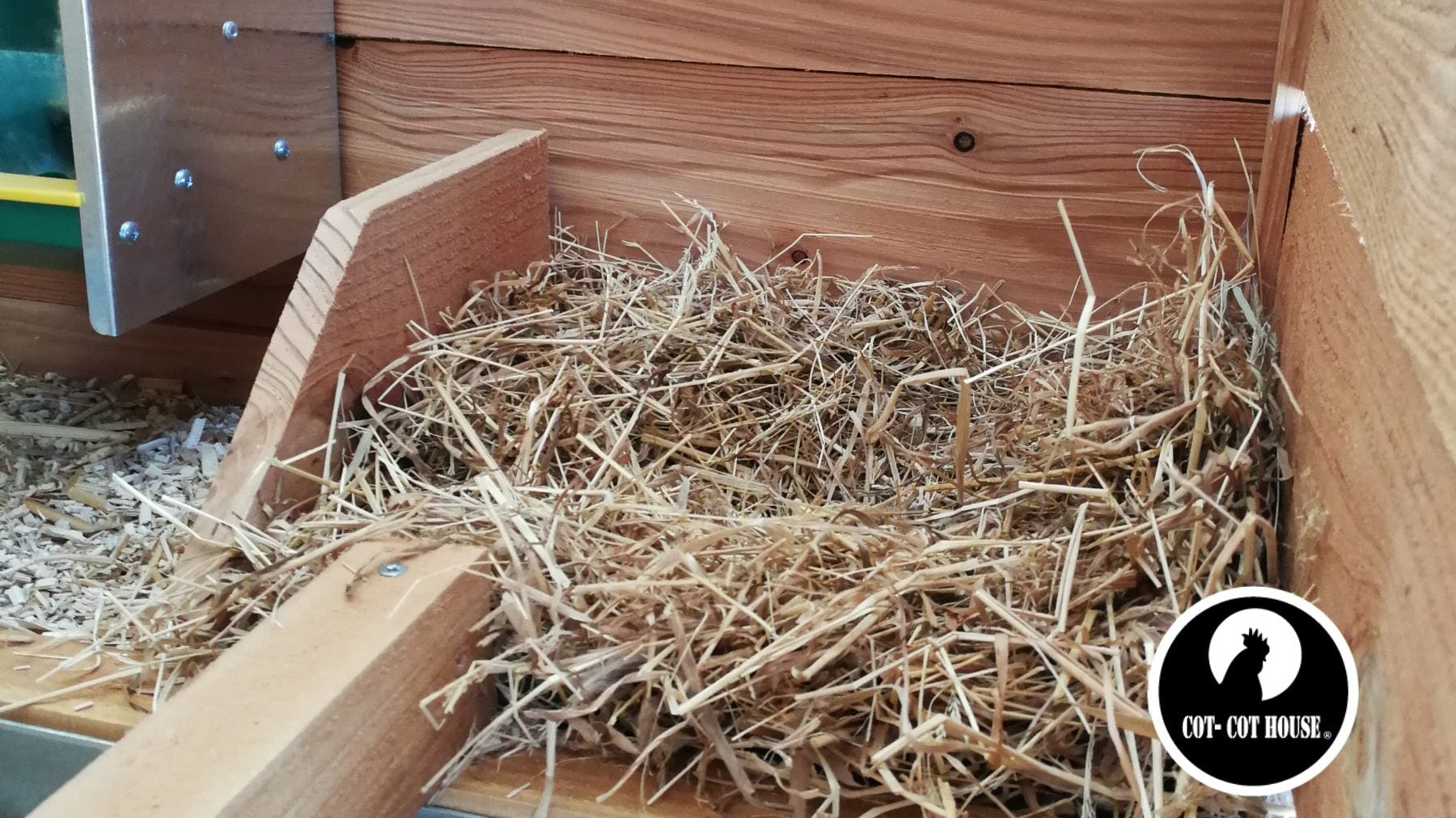 Mes poules ne pondent plus, que faire ?