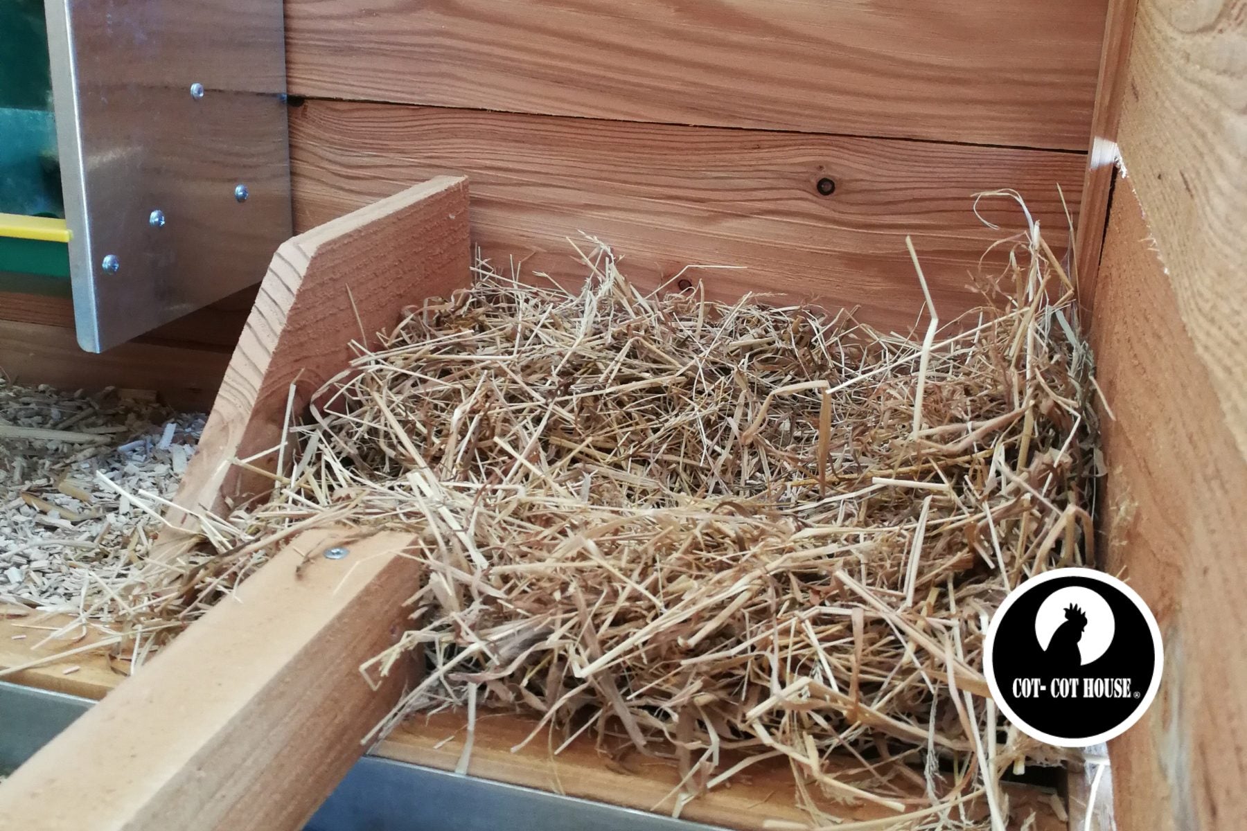 Mes poules ne pondent plus, que faire ?