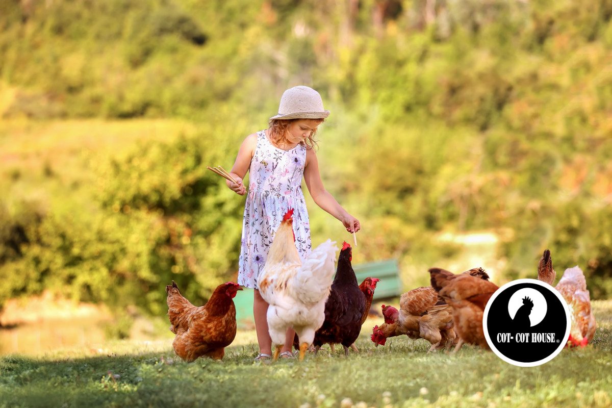 Poules : partir en vacances en toute sérénité