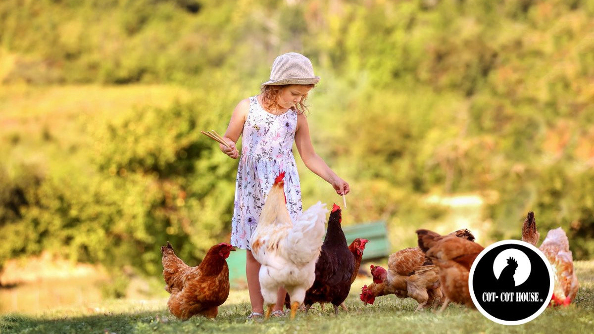 Poules : partir en vacances en toute sérénité