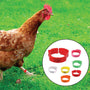 Bague marquage des poules à clips réglable 20-15mm, 6 pièces
