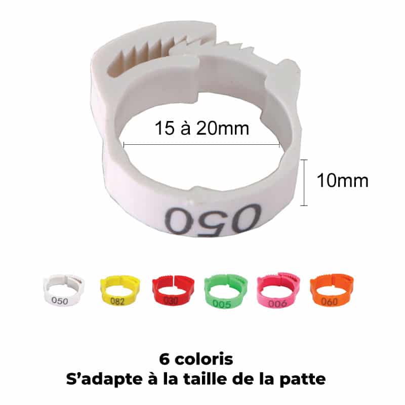Bague marquage des poules à clips réglable 20-15mm, 6 pièces