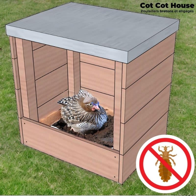 Bain de poussière anti parasites