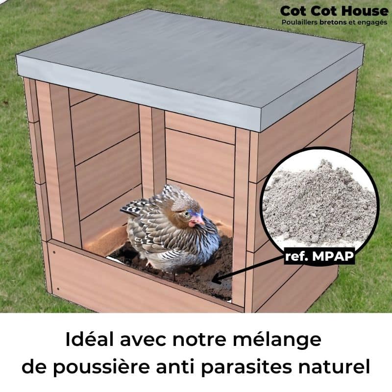 Bain de poussière anti parasites