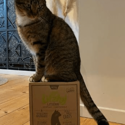 Litière pour chats Landes bretonnes Litzhy - 6 ou 15 L