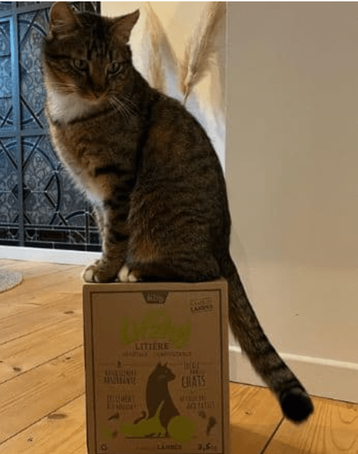 Litière pour chats Landes bretonnes Litzhy - 6 ou 15 L