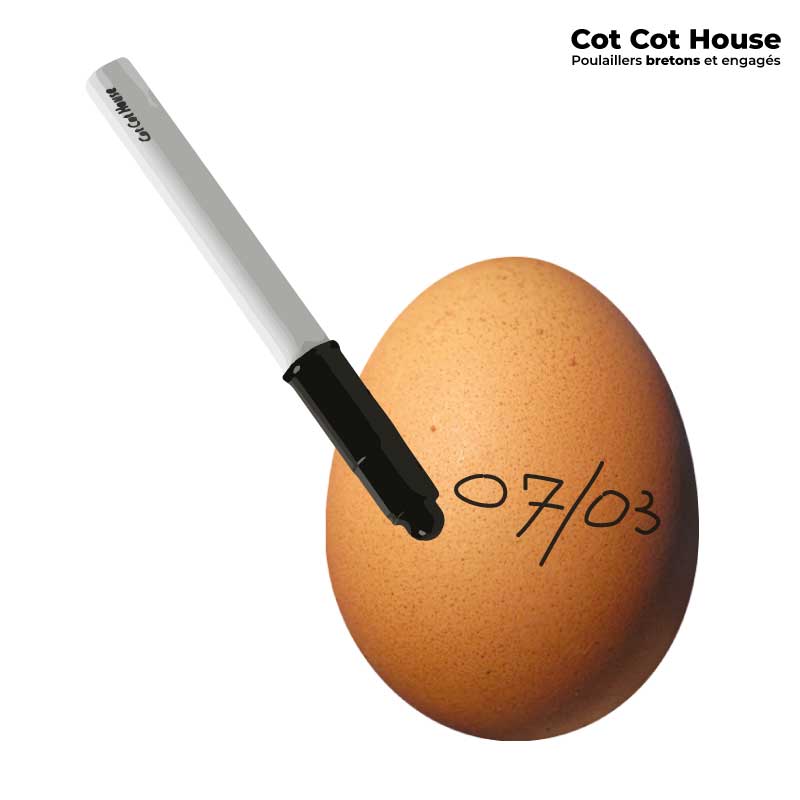 Stylo feutre alimentaire noir spécial œuf