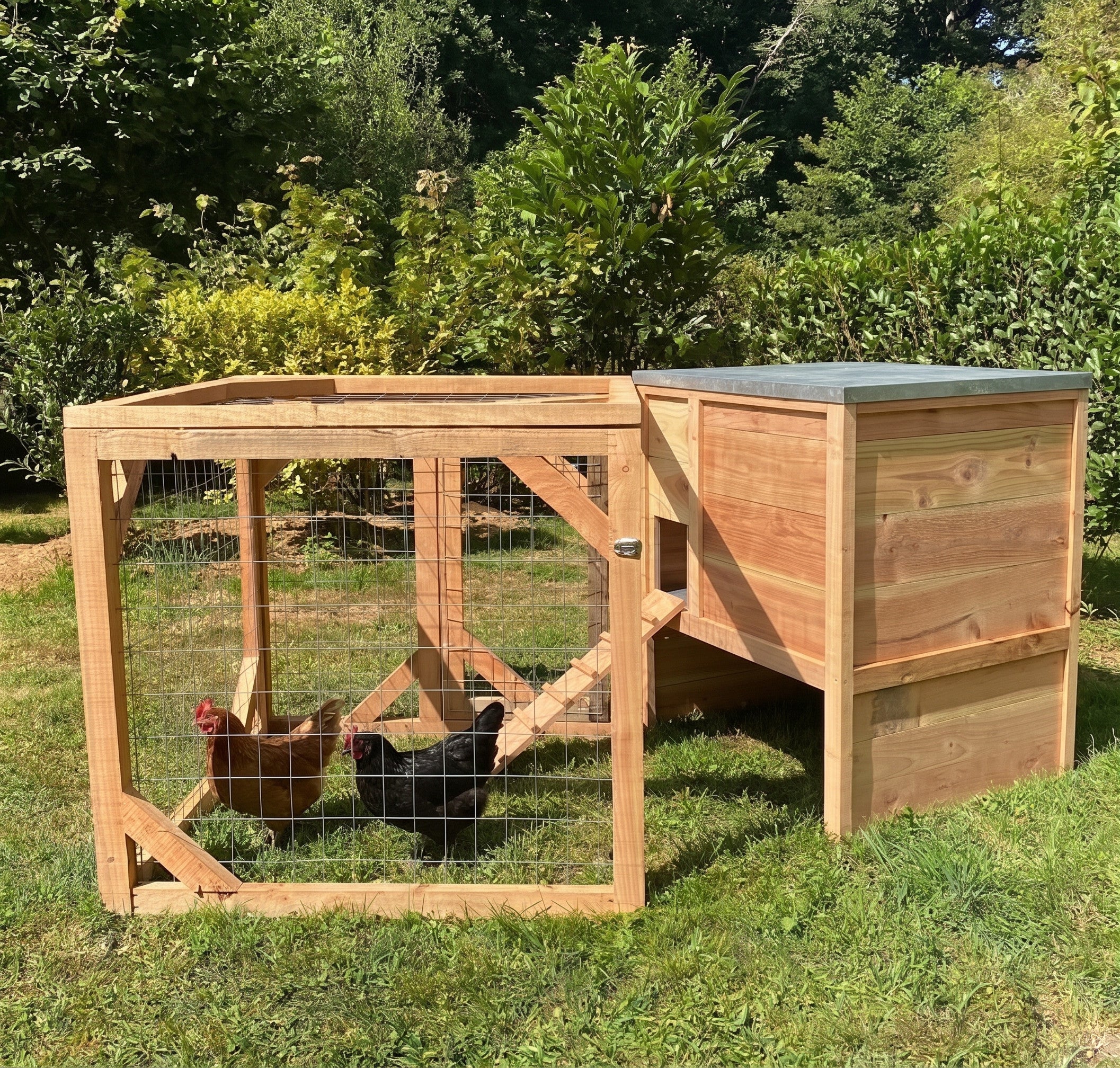 Kit poulailler 4 poules et volière