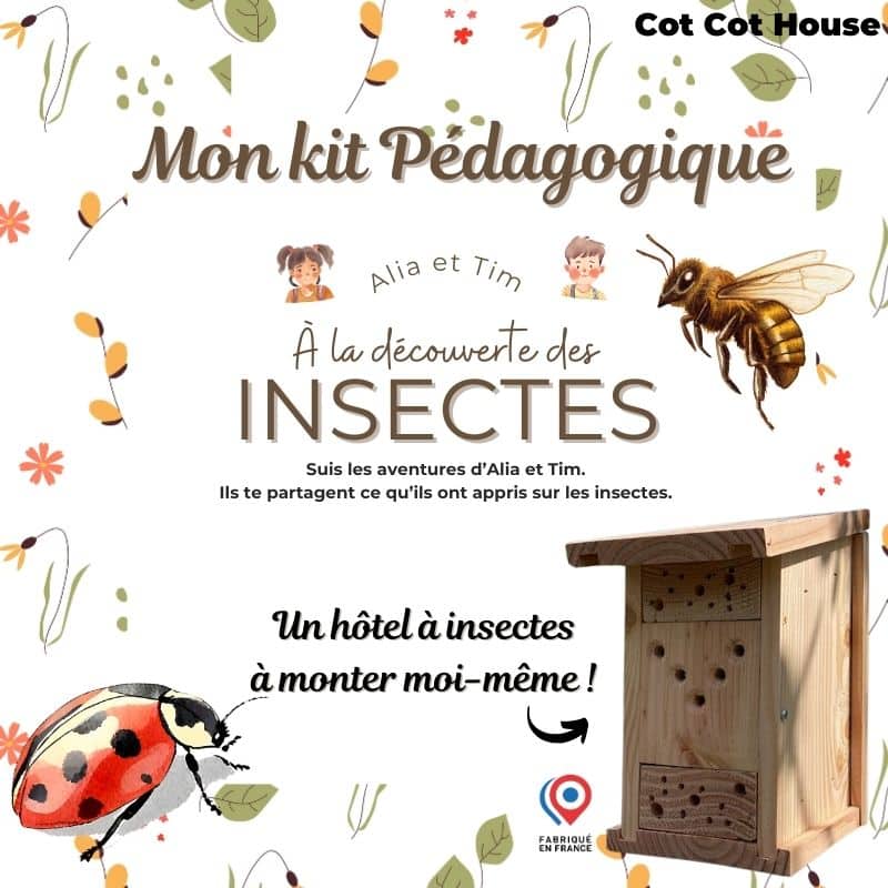 Kit pédagogique - insectes auxiliaires du jardin
