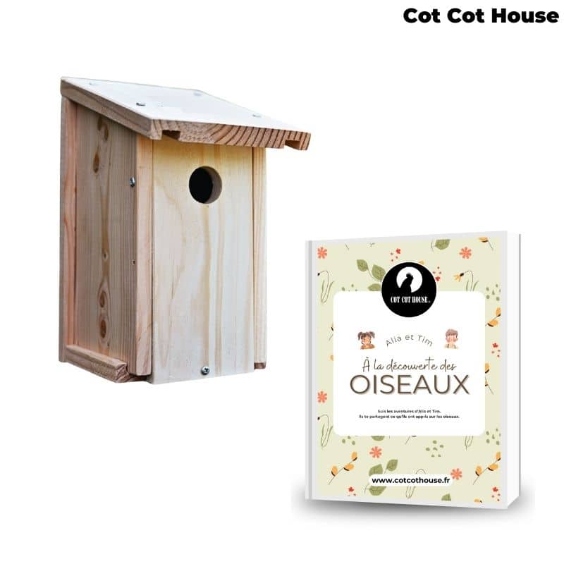 Kit pédagogique - oiseaux