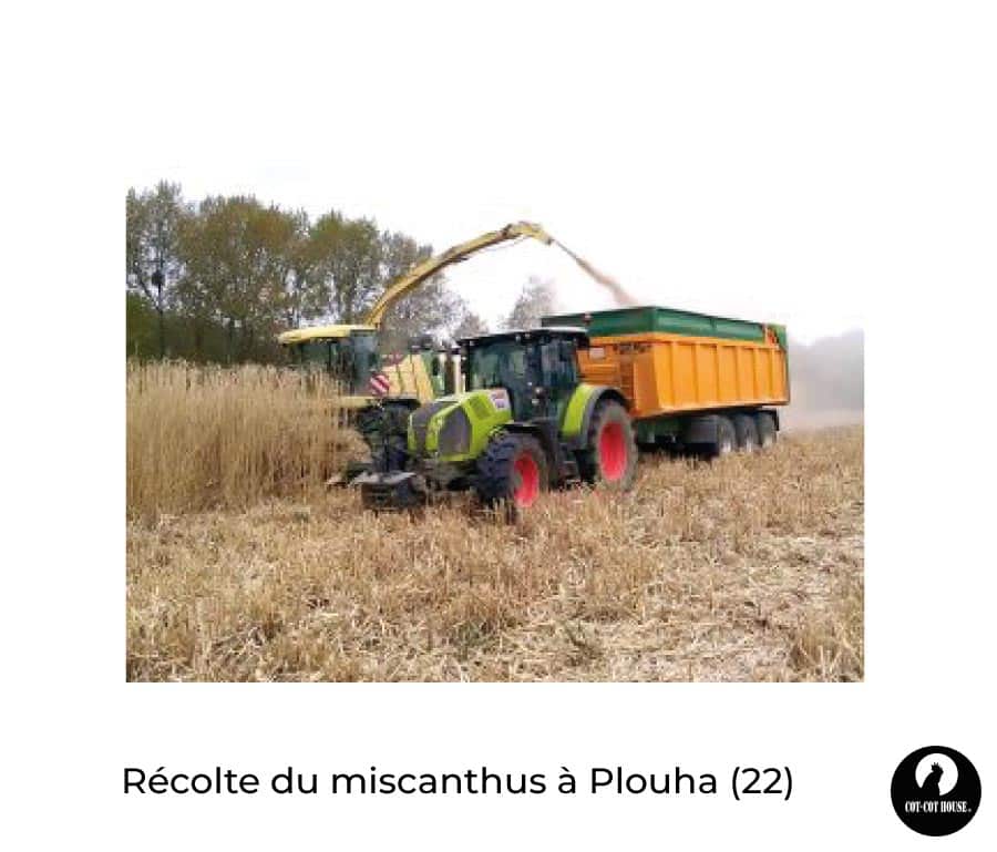 Litière de Miscanthus 16L