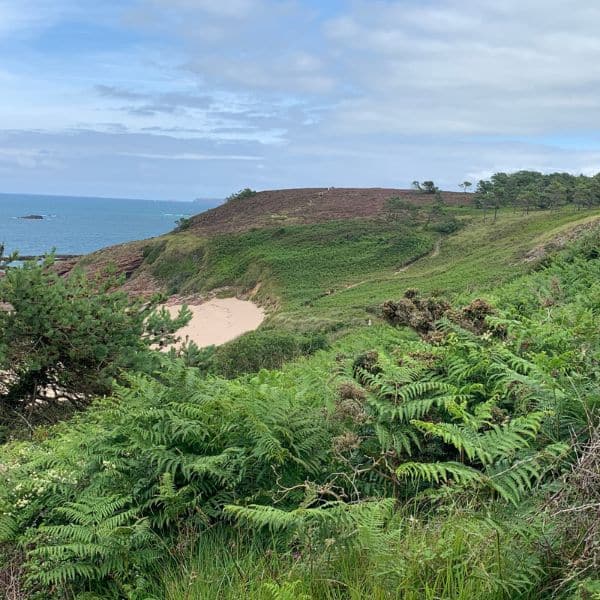 paysage landes bretonnes mer et verdure