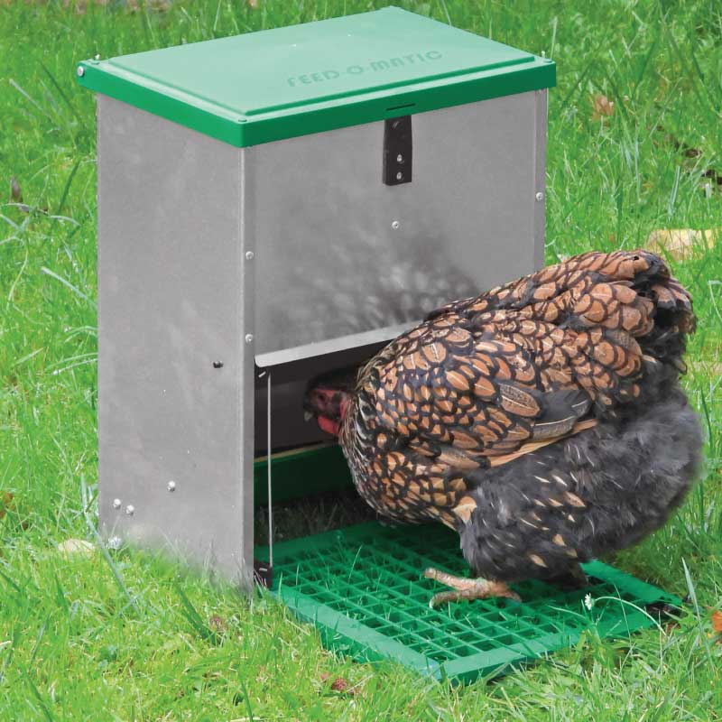 mangeoire anti-nuisibles 5kg pour poules