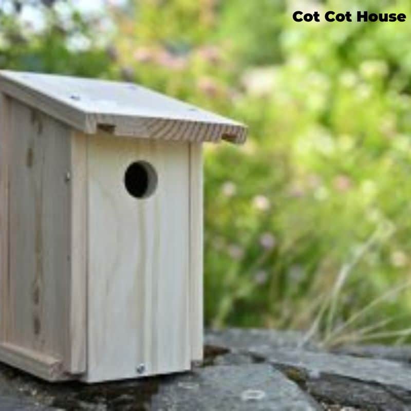 Nichoir à oiseaux en kit pour Mésanges