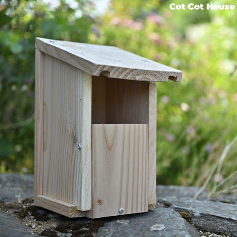 Nichoir à oiseaux en kit pour Rouge-Gorge