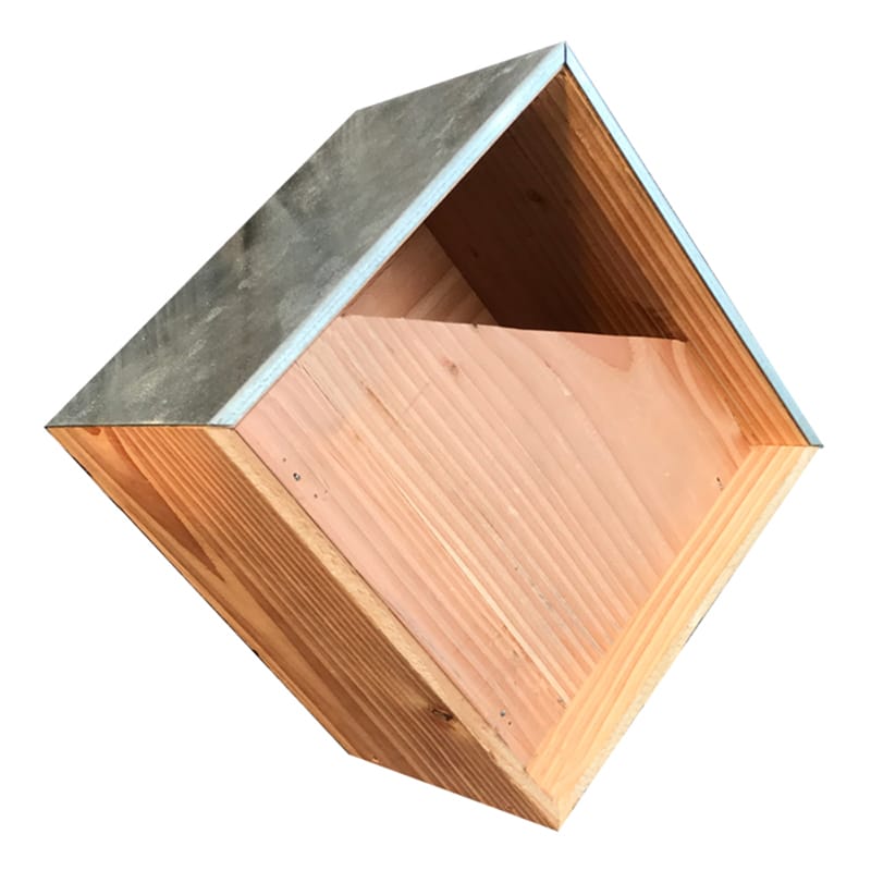 Nichoir rouge gorge George