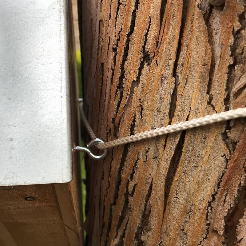 Nichoir rouge gorge George