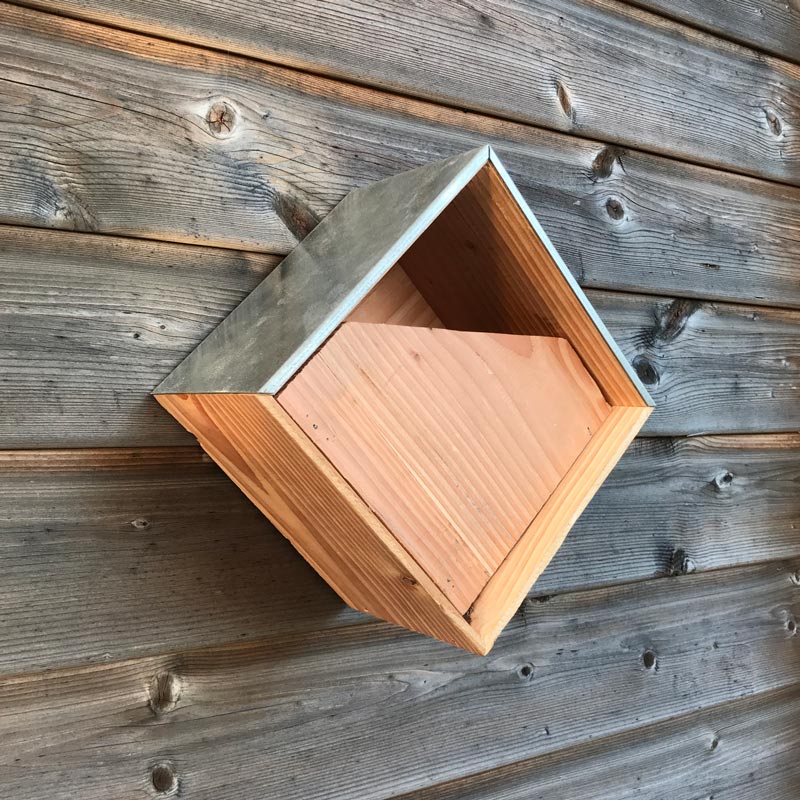 Nichoir rouge gorge George