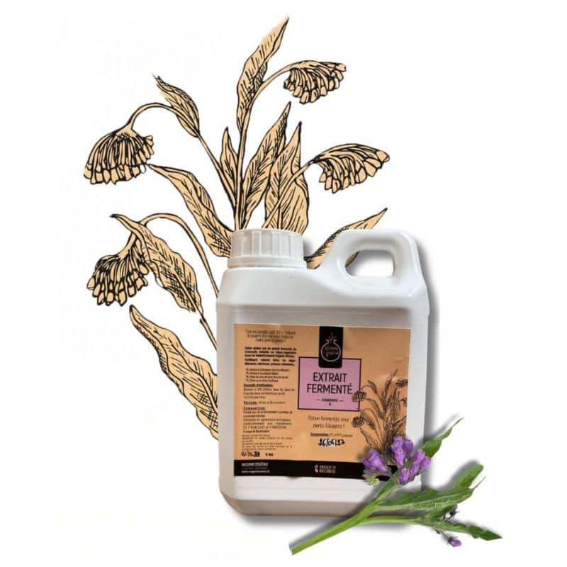 Extrait Fermenté - Consoude 1L ou 5L