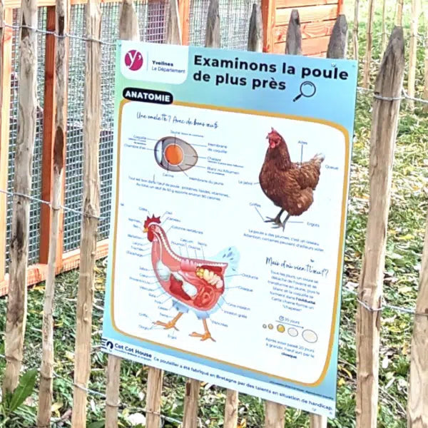 Panneau d'affichage pédagogique