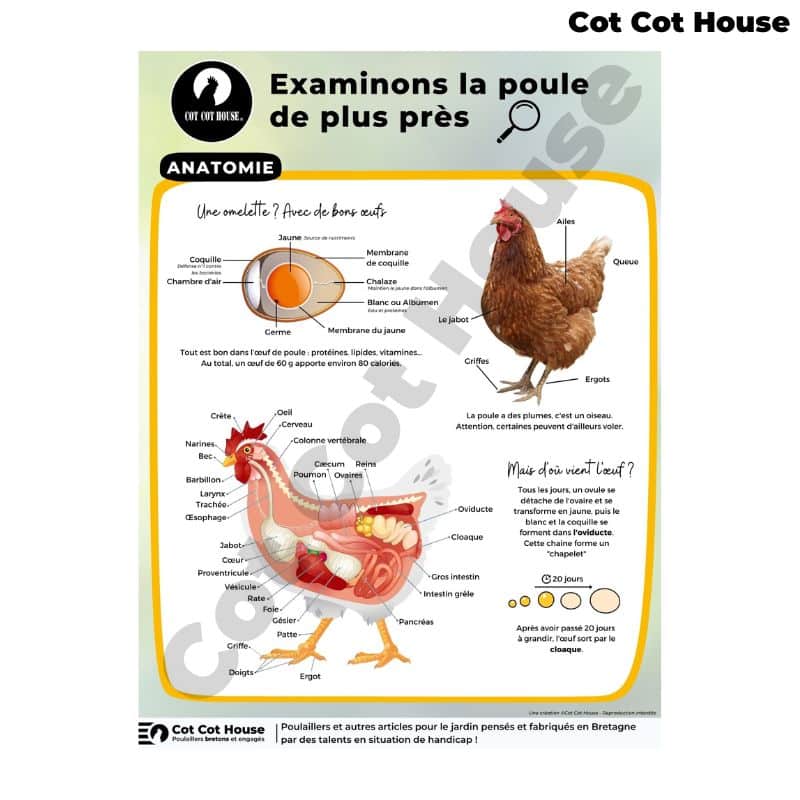 Panneau d'affichage pédagogique