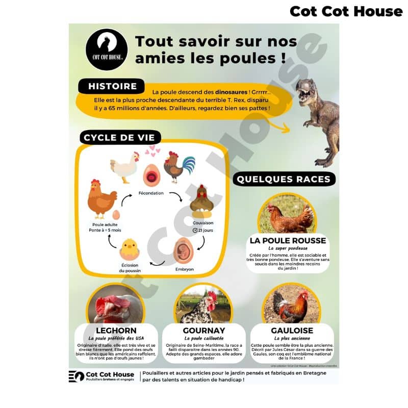 Panneau d'affichage pédagogique