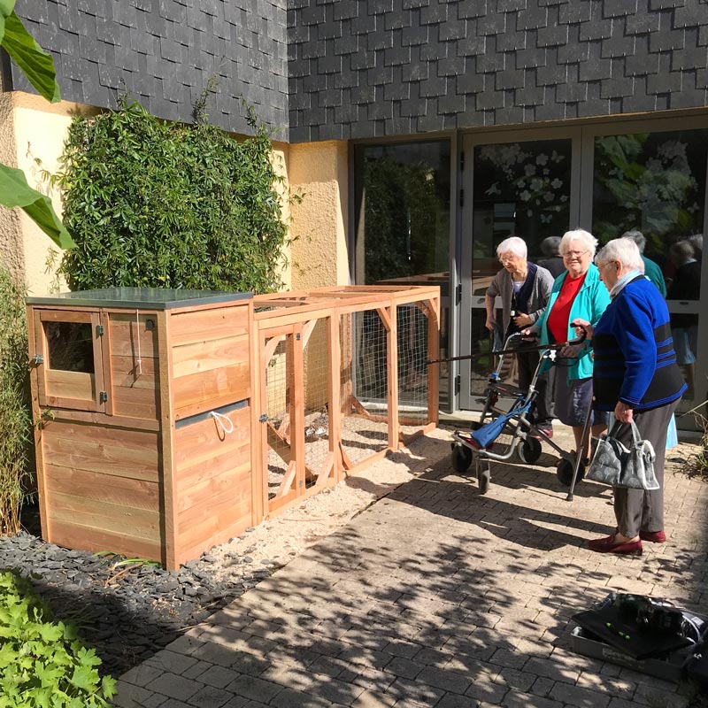 Poulailler 4 poules - modèle Houdan CONFORT