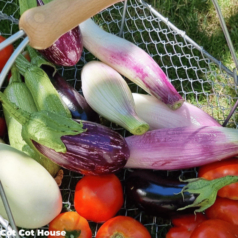 Panier de récolte 15L fabriqué en Bretagne