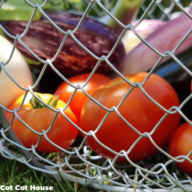Panier de récolte 15L fabriqué en Bretagne