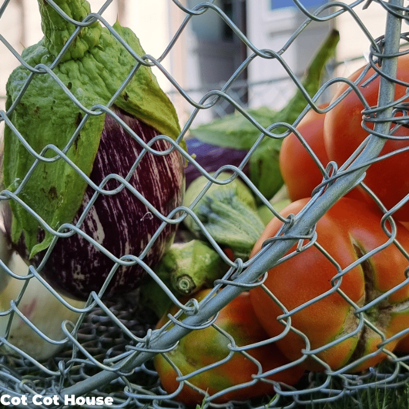 Panier de récolte 15L fabriqué en Bretagne