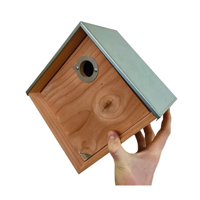 Plaque de protection pour nichoir ProtecPiaf