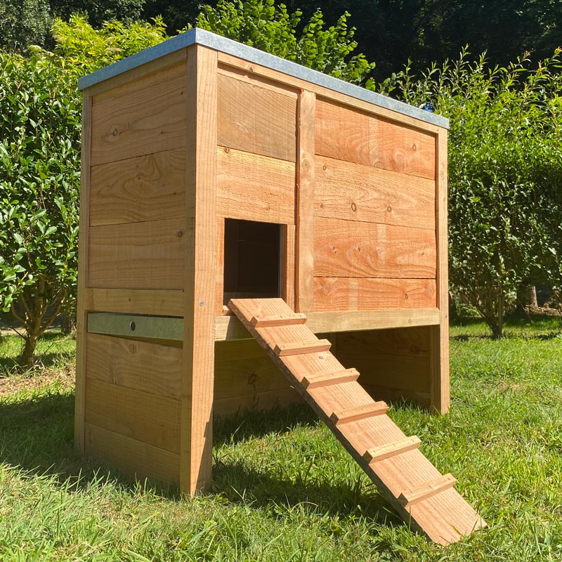 Poulailler 2 poules - modèle Sebright