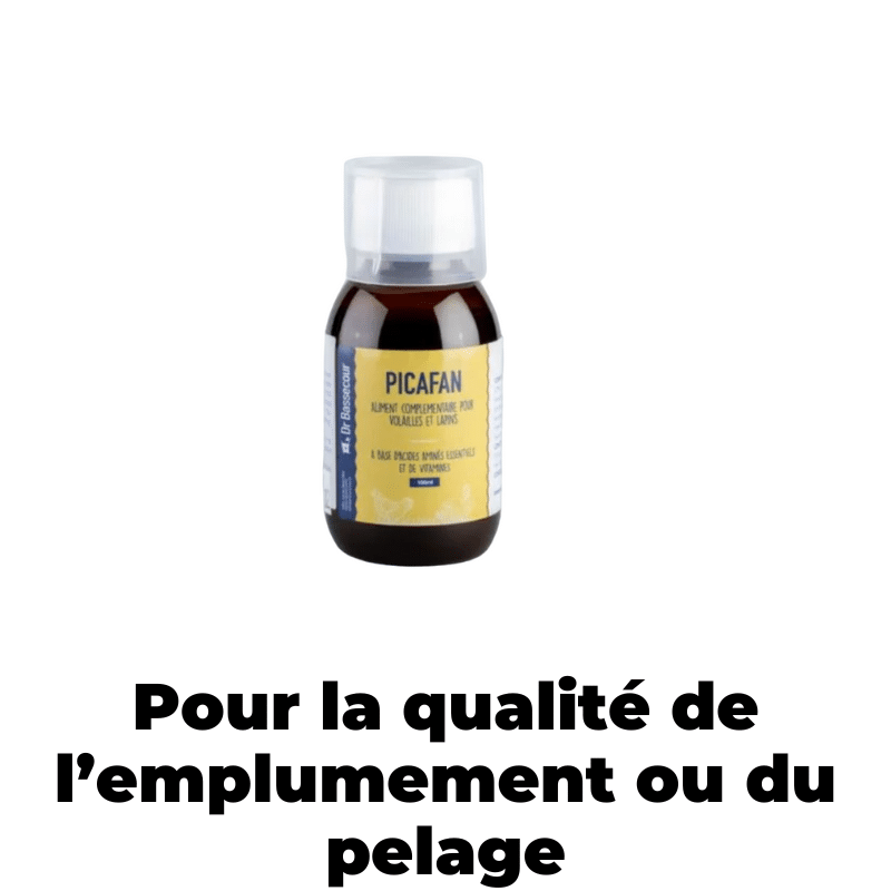 PICAFAN pour améliorer le plumage / pelage