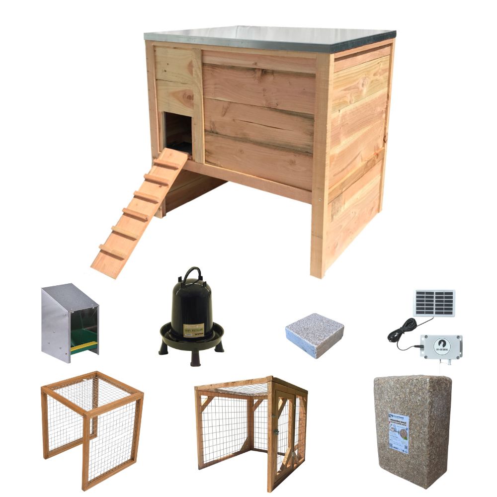 Grand kit complet poulailler en bois français Houdan pour 4 poules avec portier automatique solaire, volière XXL et accessoires dans un jardin familial.