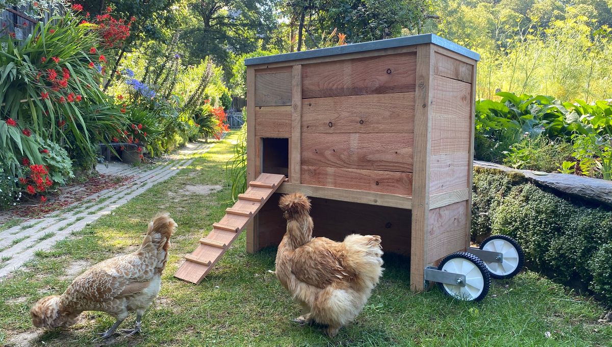 Poulailler 2 poules sur roulette fait en france - 100% Pin Douglas français